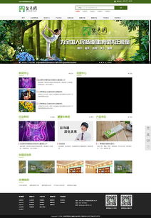 北京网站设计三版 从视觉到功能的全面进化之路